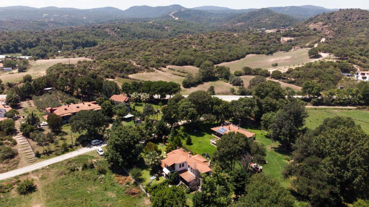 Villa Palmera Ierissós Exterior foto